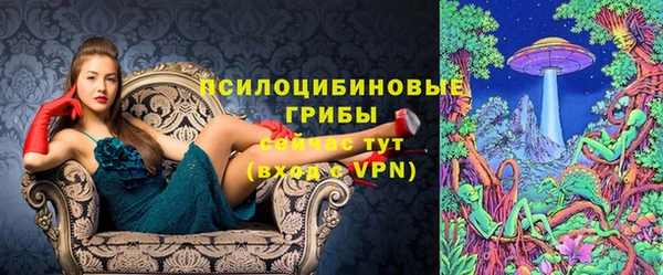 молекула духа Алексин