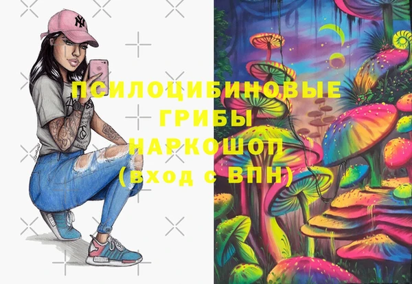 молекула духа Алексин